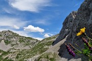 34 Dal Passo di Gabbia vista sul sentiero dei fiori nel Mandrone